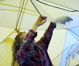 中環(huán)互聯(lián)網(wǎng) 常州網(wǎng)絡(luò)公司的全網(wǎng)營銷解決方案