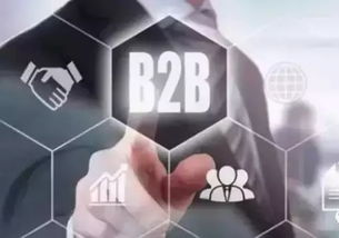 中環互聯網 常州網絡公司的全網營銷與互聯網銷售解決方案